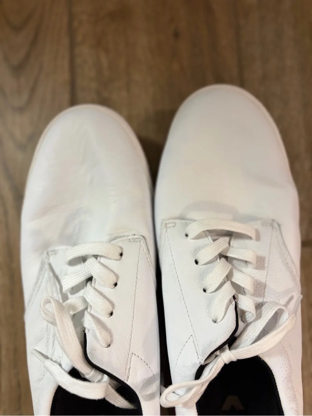 Travis Mathew cuater by